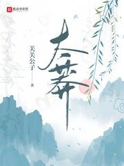 再见极光
