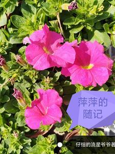 太古女帝和她的冷清神女殿下